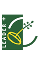 Leader +